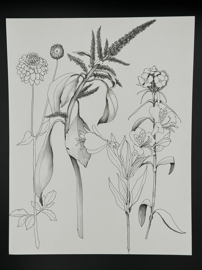 Botanical 4 Piece Pen and Ink Original