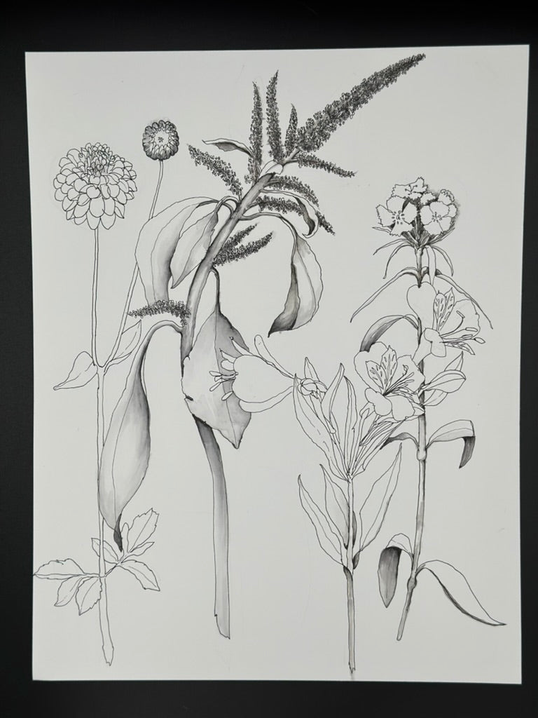 Botanical 4 Piece Pen and Ink Original