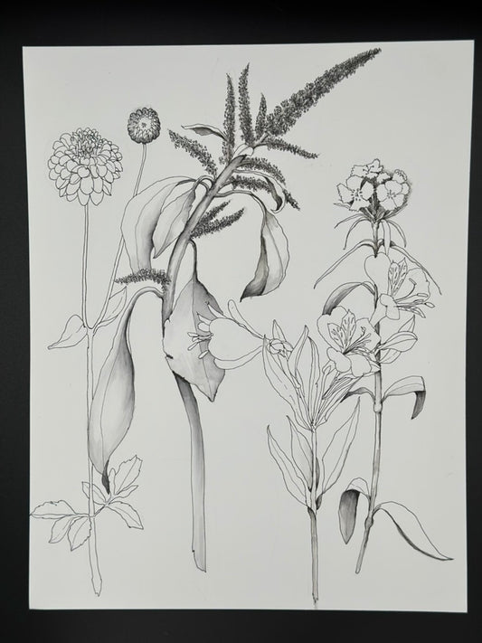 Botanical 4 Piece Pen and Ink Original