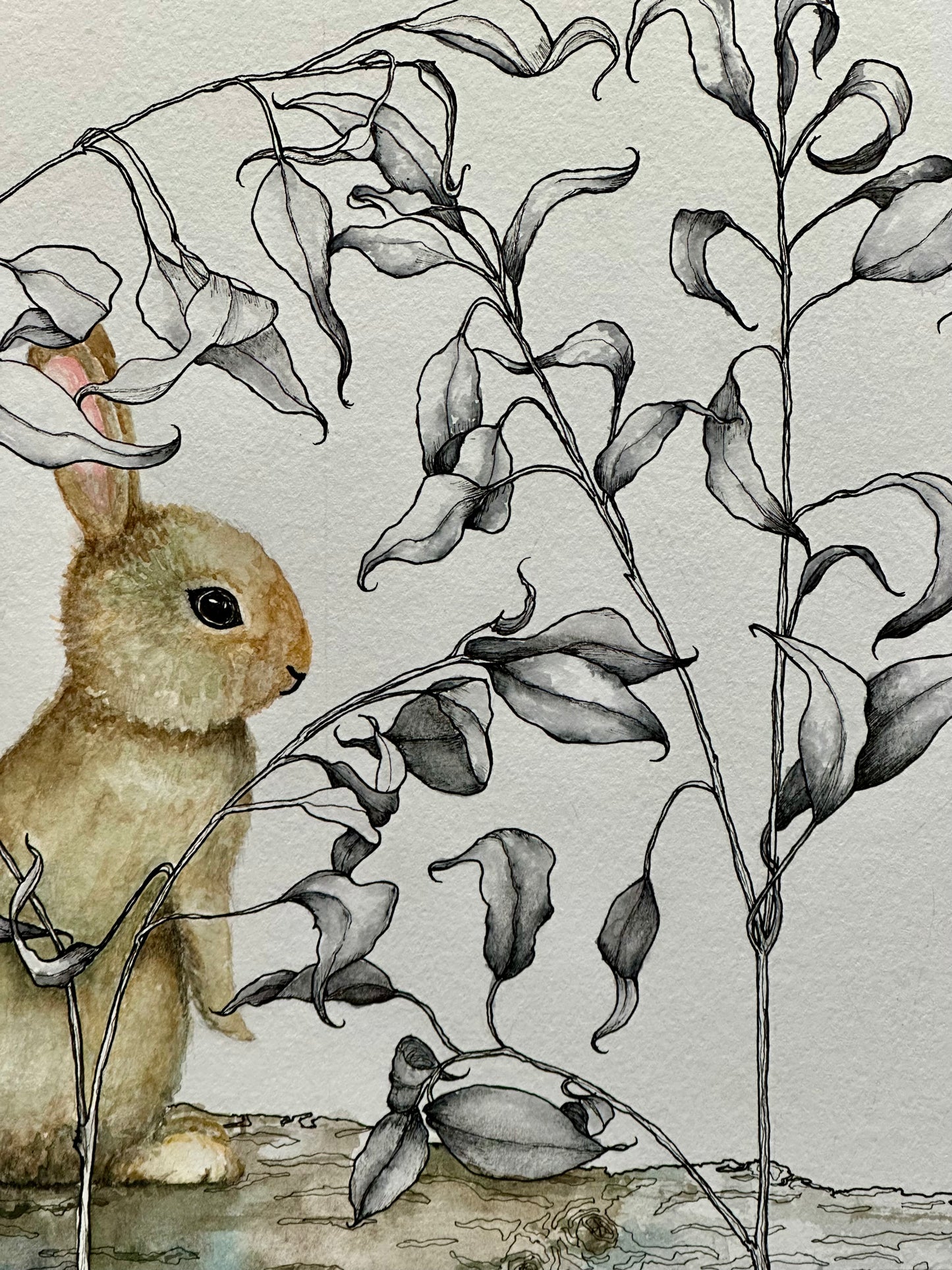 Woodland Bunny & Botanicals - Original ink & watercolor drawing