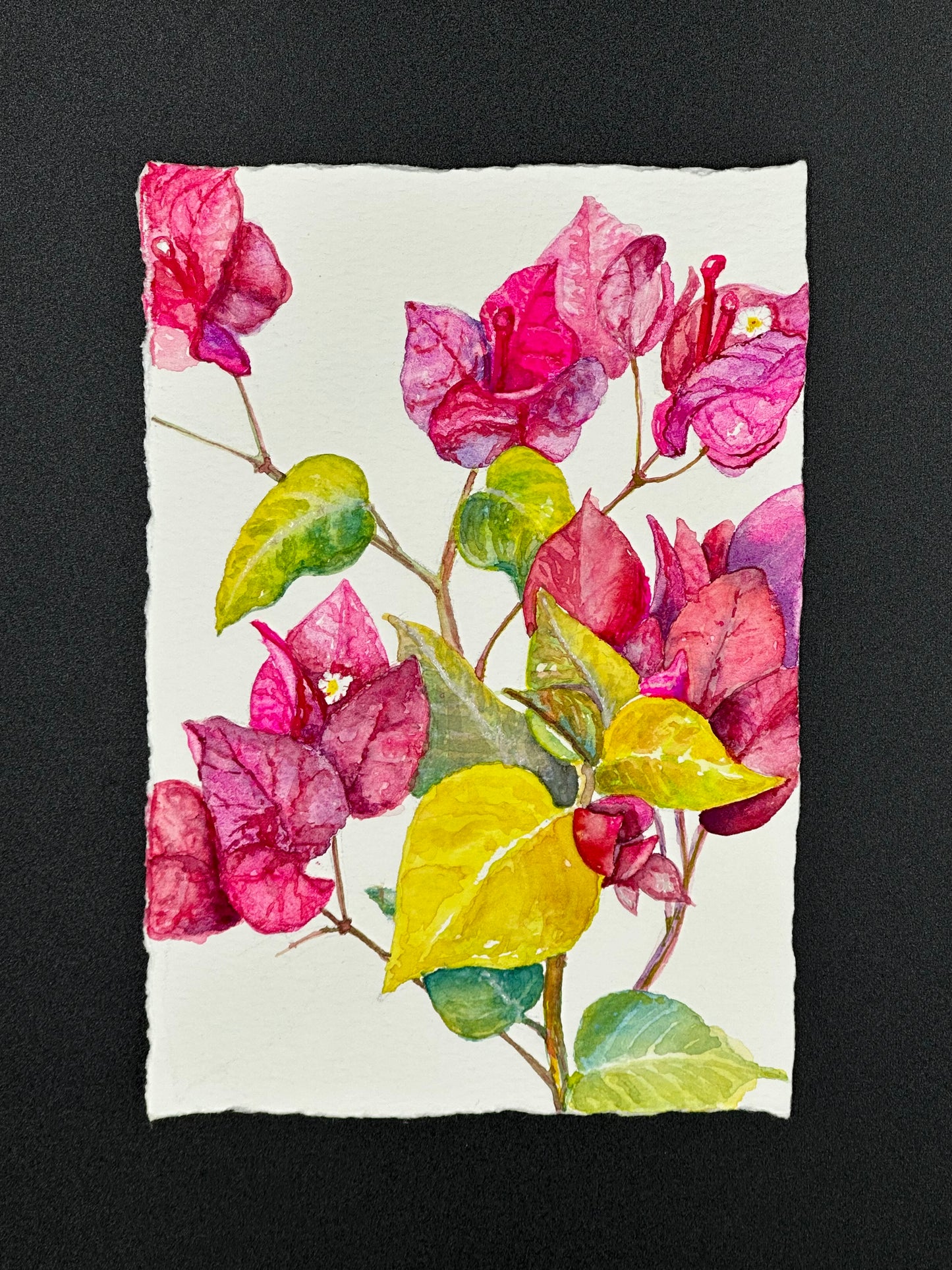 Pause in Bloom - original watercolor