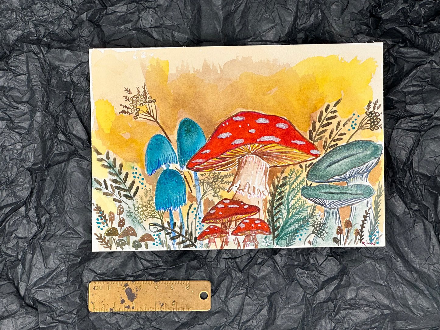 Mushroom garden