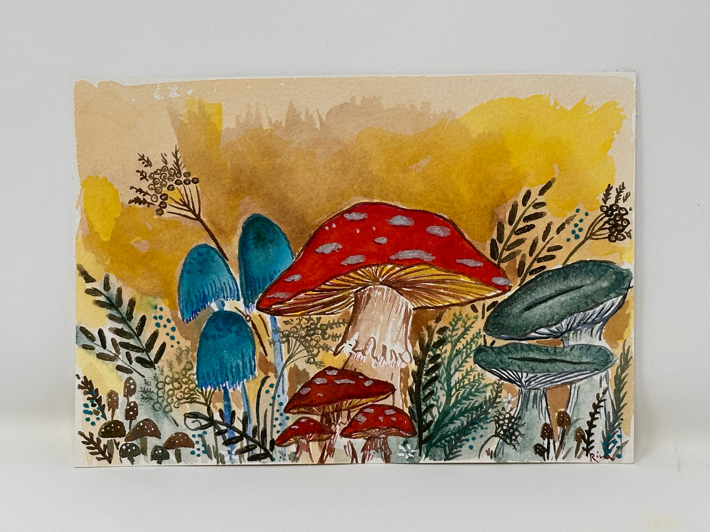 Mushroom garden