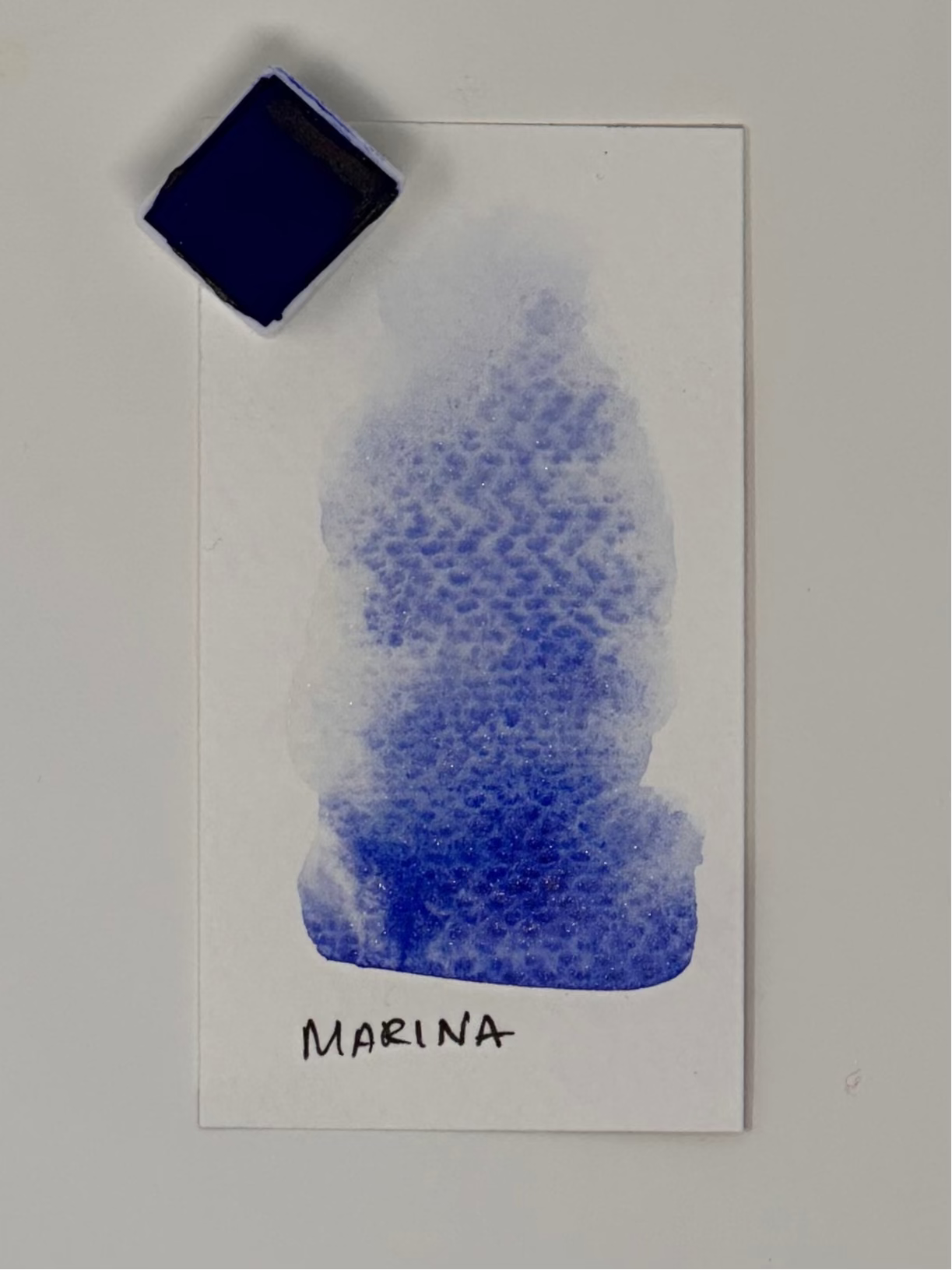 Sparkle by the Bay- Watercolor set